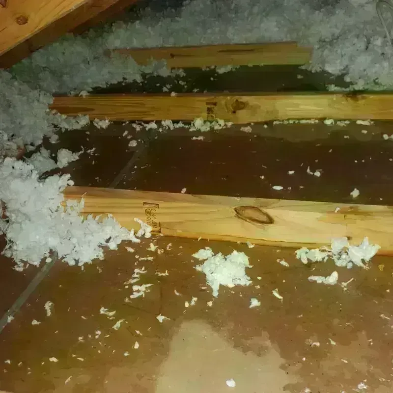 Attic Water Damage in Harbison Canyon, CA