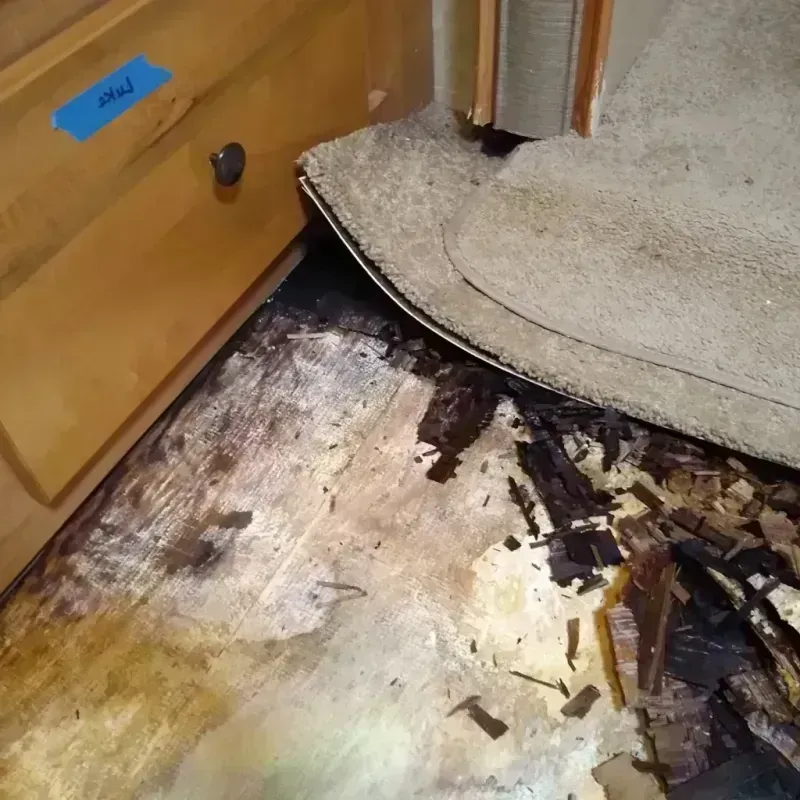 Best Wood Floor Water Damage Service in Harbison Canyon, CA